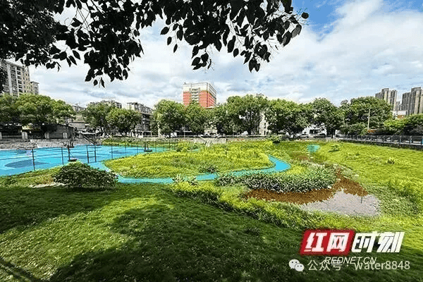 文章配图-12