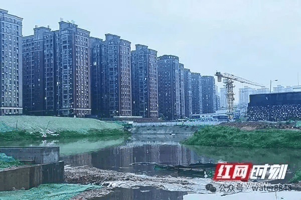文章配图-14