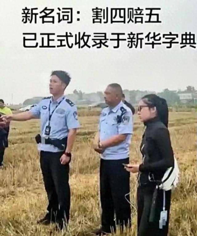 小麦“割四赔五”续：博主直播翻车事情传到外网牵连整个襄阳