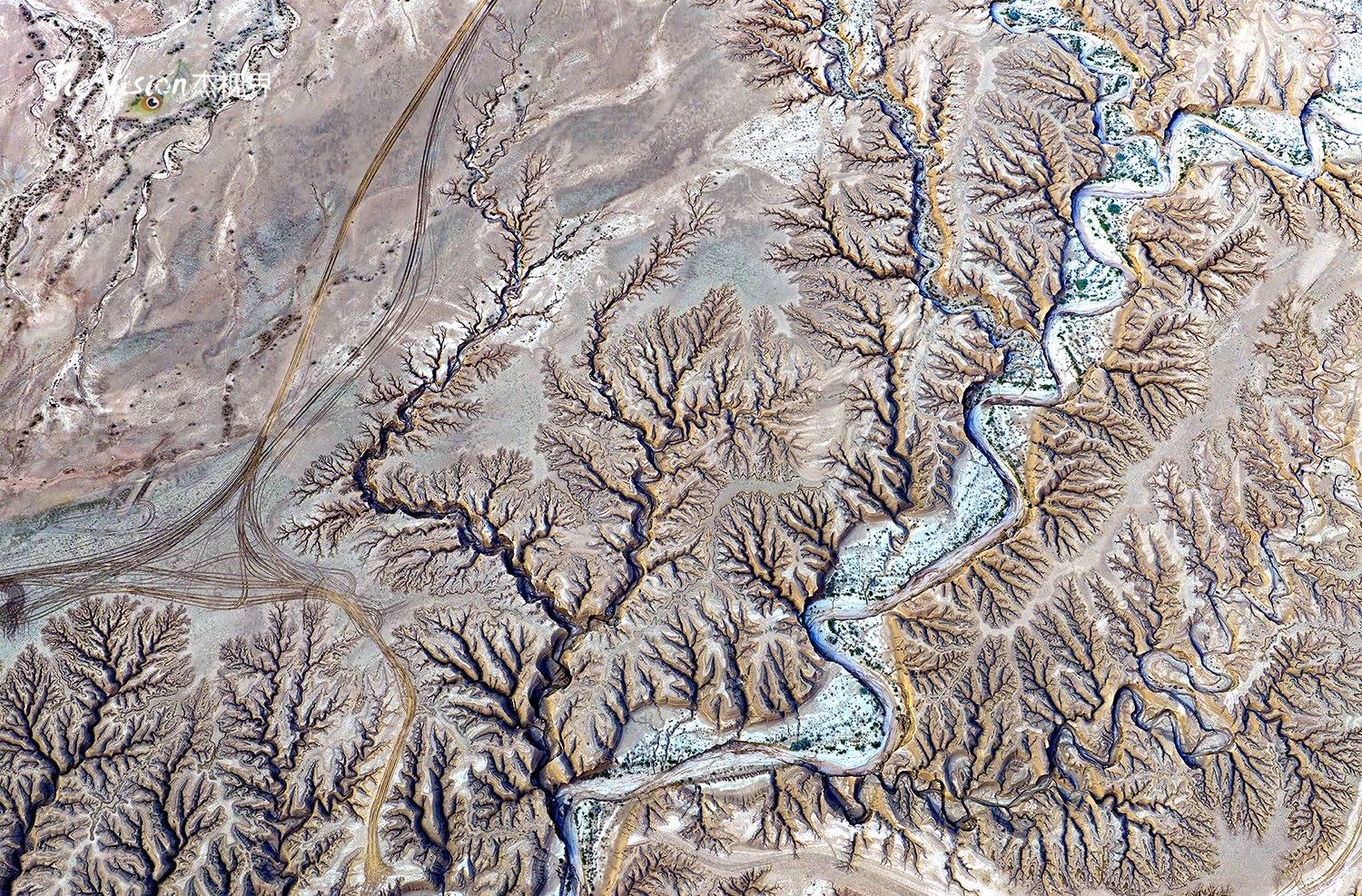 文章配图-4