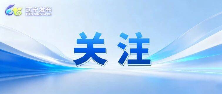 全省唯一！辽宁12345热线有了“国标”政务大模型