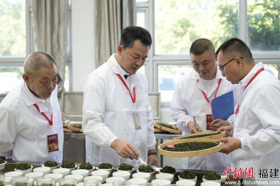 二十四届赛事深耕：一片叶子串起茶农致富路