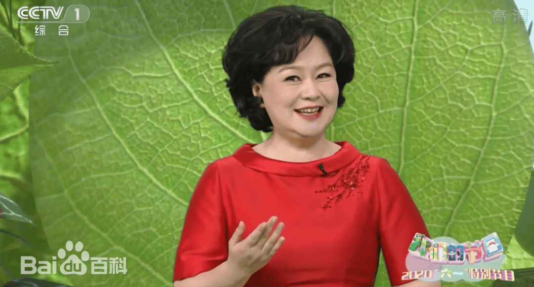“国脸”接力赛：谁在定义央视的下一个十年？