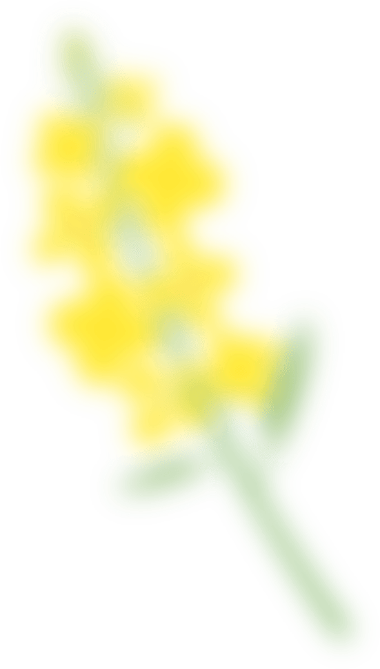 新书展阅（十九）