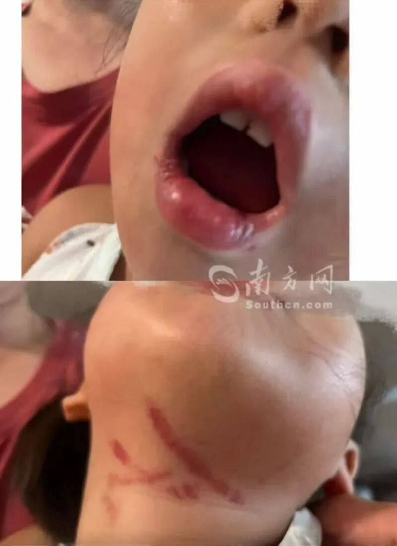 文章配图-1