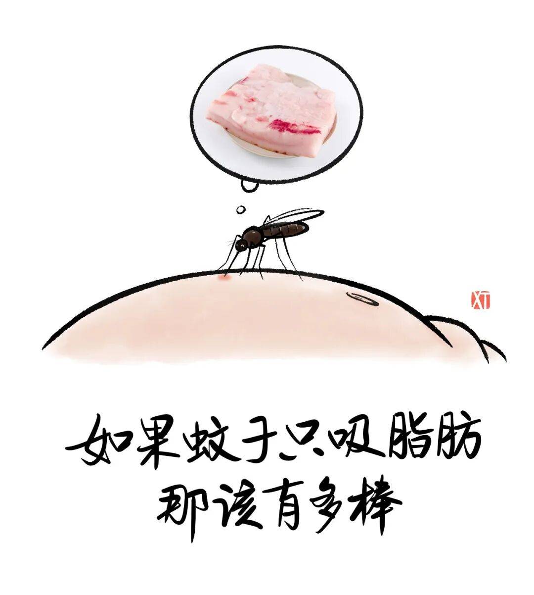 12幅吐槽漫画看完又好气又好笑 谁夏天没被蚊子欺负过?