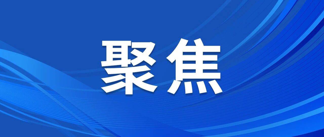 AI有“专长” 百业添“智囊”——石家庄垂直大模型打开“人工智能+”应用新场景
