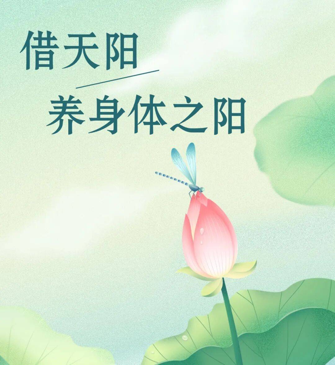 【中医药园地】夏至养生核心是什么？借天阳养身体之阳！