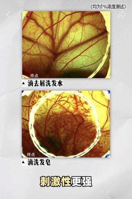 网红洗发皂吹“草本防脱”噱头，多款样品未检出有效草本成分