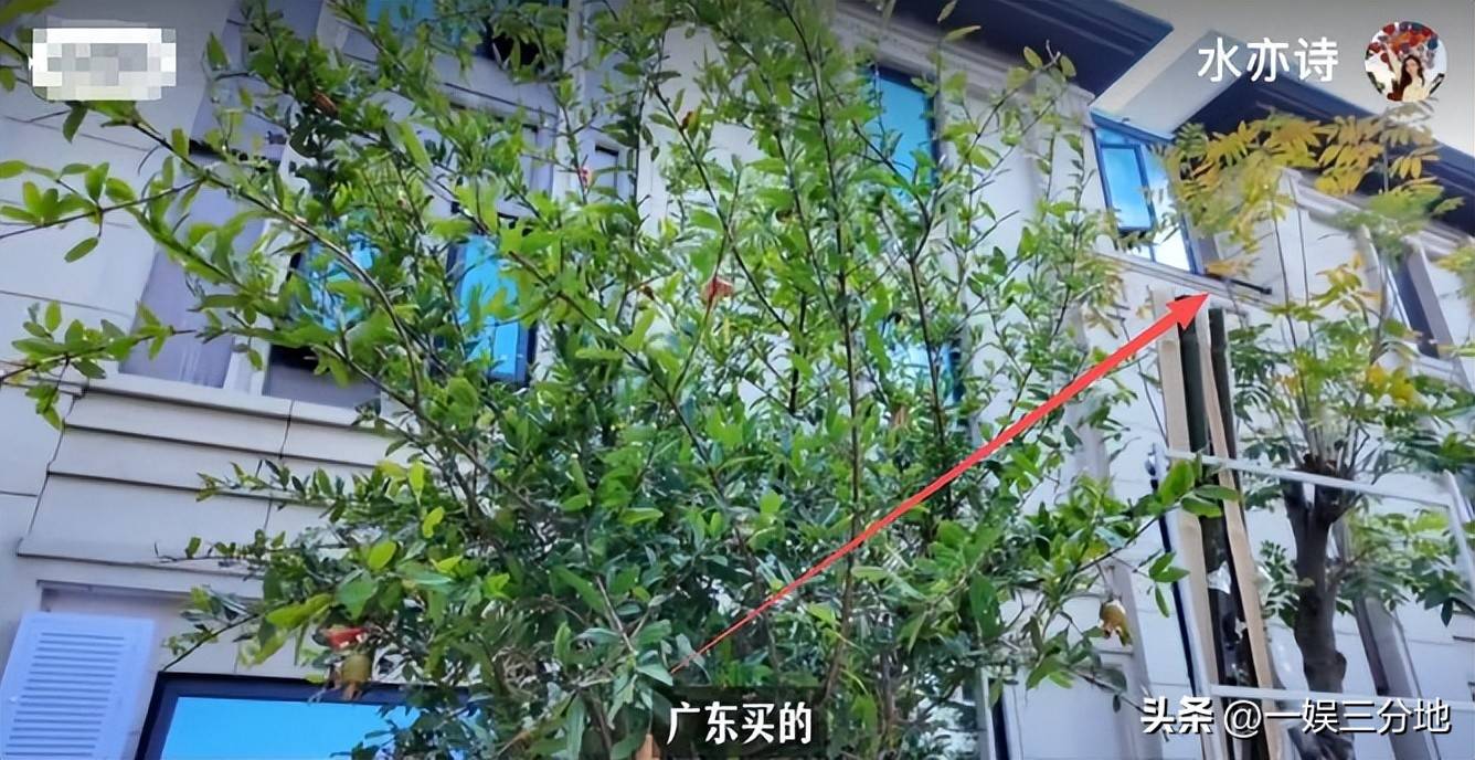 文章配图-2