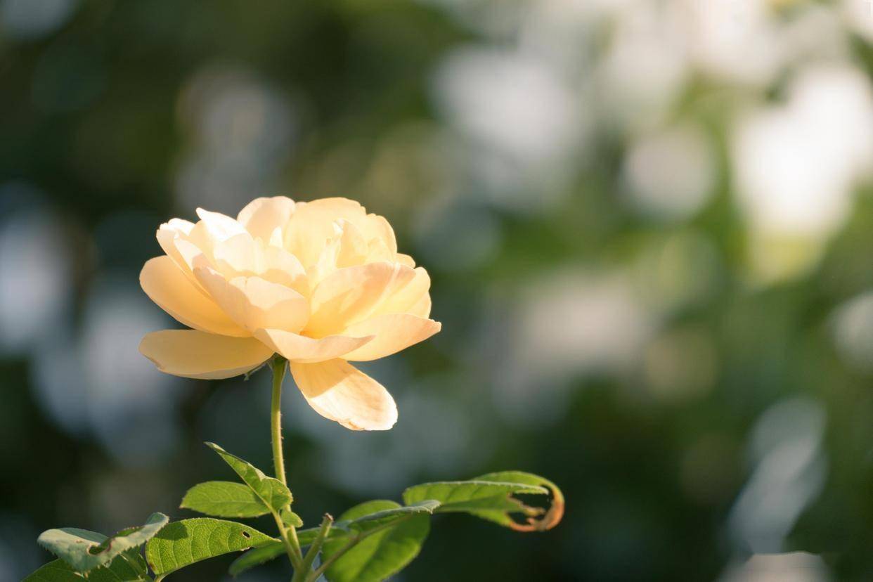 原创            男人不主动联系却又不纠缠，往往才是爱你入骨的表现