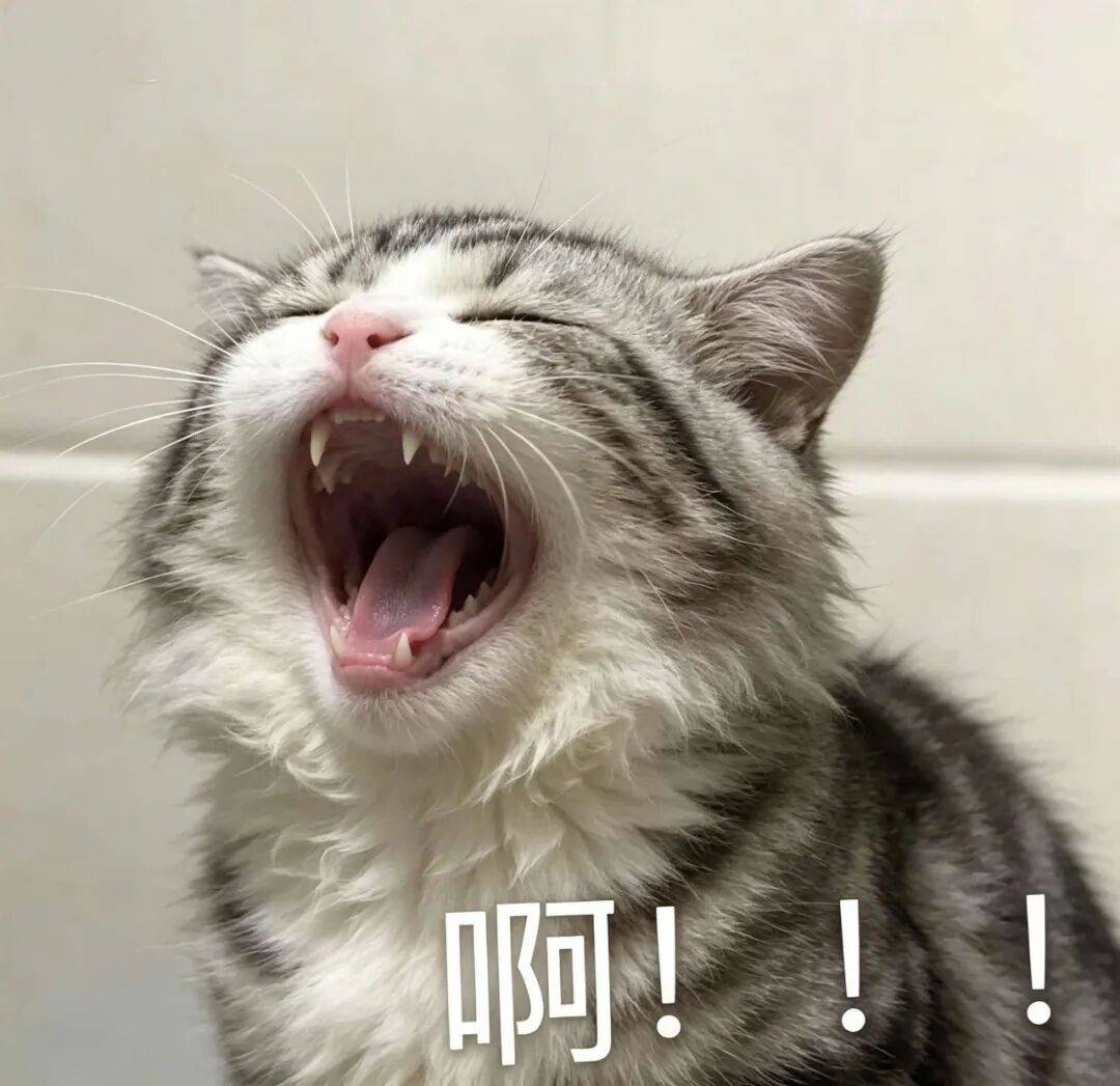 文章配图-9