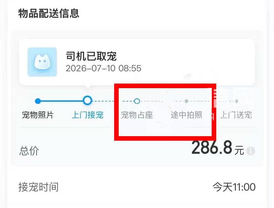 哈啰宠物出行司机将三只猫扔进后备箱闷死 把猫尸丢在垃圾桶(图2) 文章配图-2