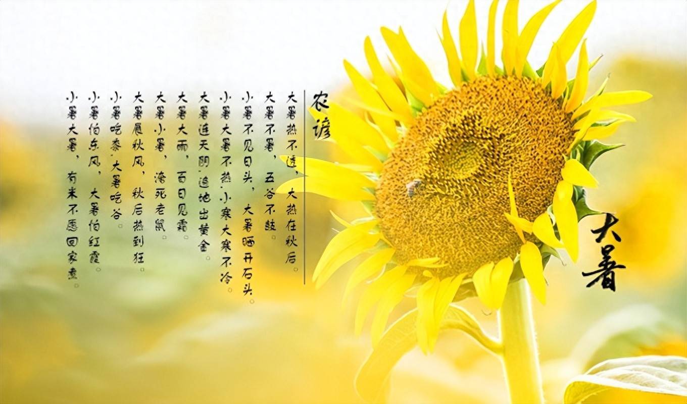 原创            “大暑不忌口，大夫跑断腿”，7月23日大暑，提醒家人要懂得忌嘴