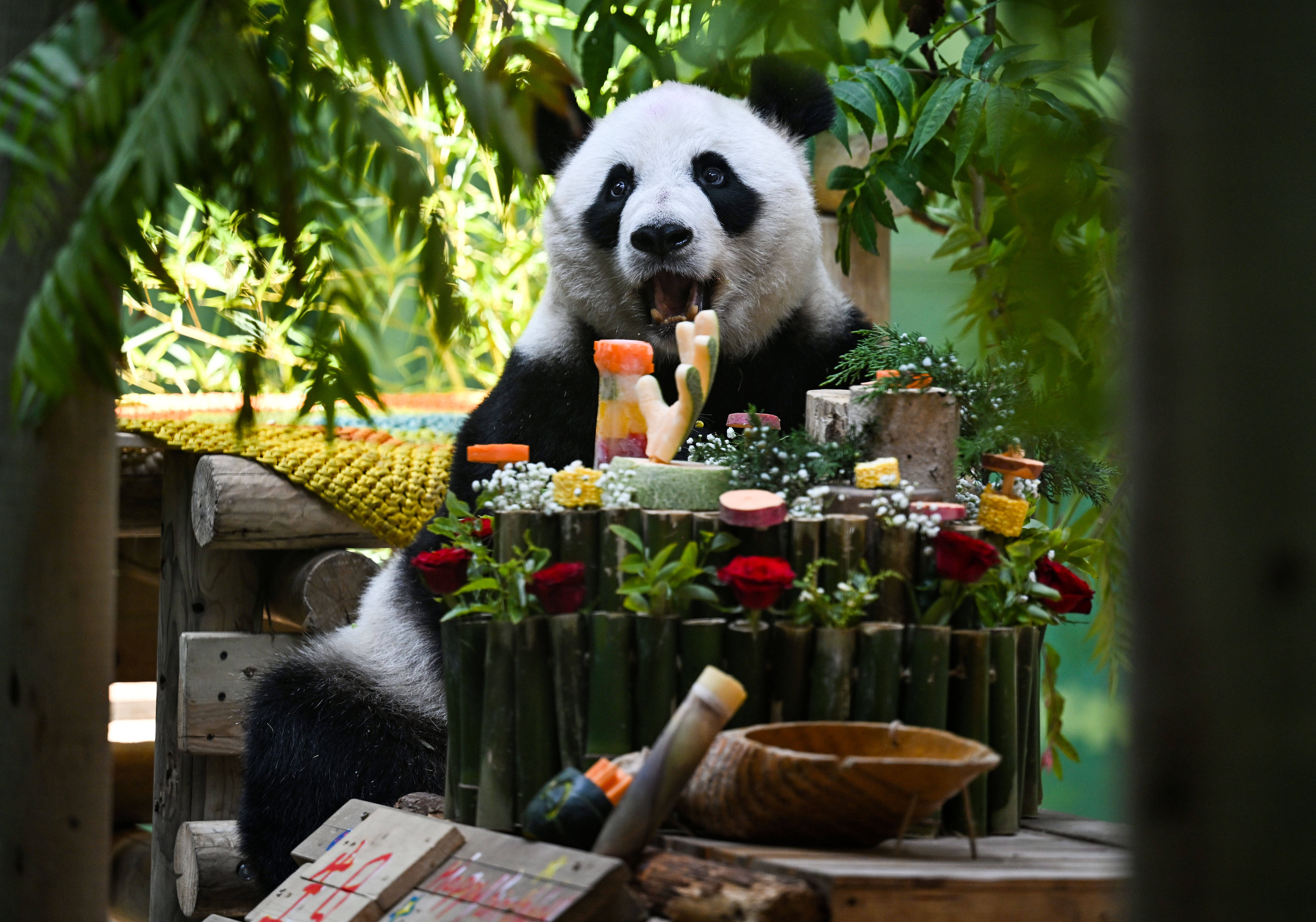 文章配图-2