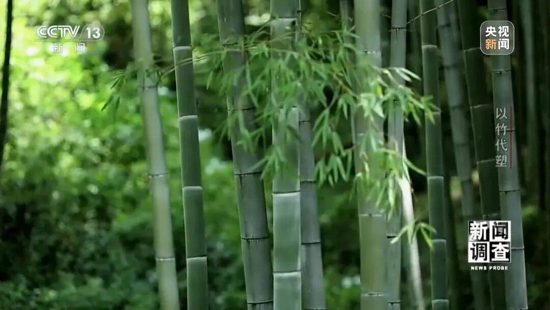 中国成功用竹子造出无人机，这对航空材料和制造技术意味着什么？
