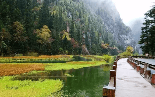 【山水九寨】小包团 6日游 | 梦回千年蜀道,畅游神奇童话世界九寨沟!_箭竹_熊猫海_迎宾