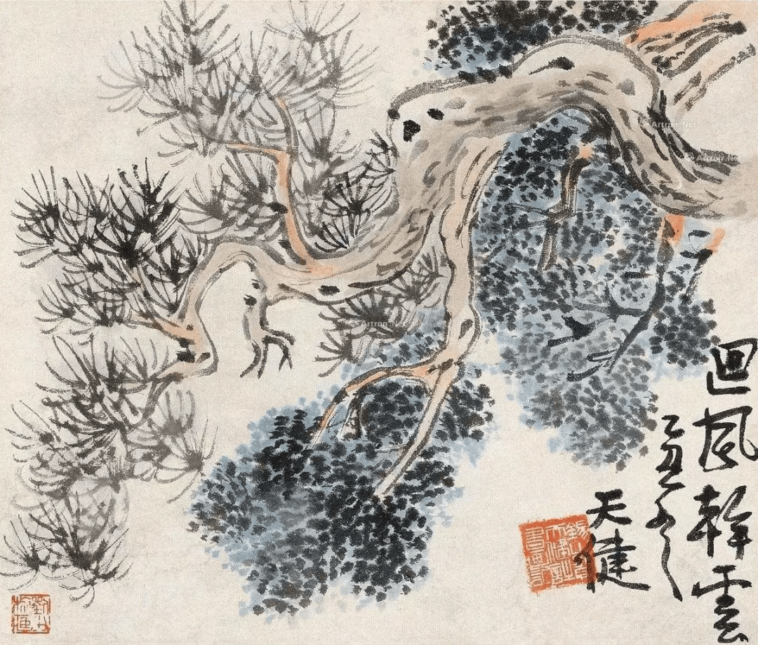 画树有古意,要注意这些!