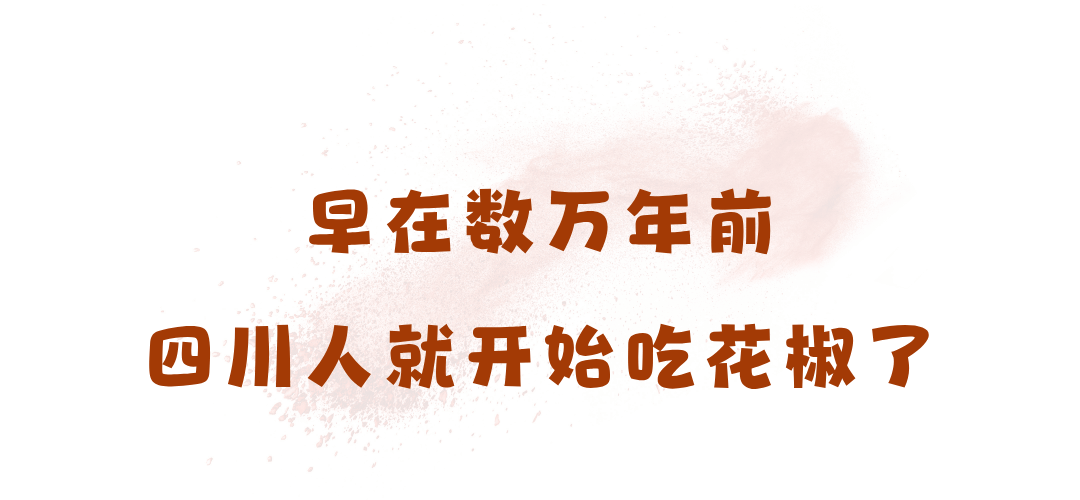 四川这一路的麻辣鲜香，简直离不得花椒
