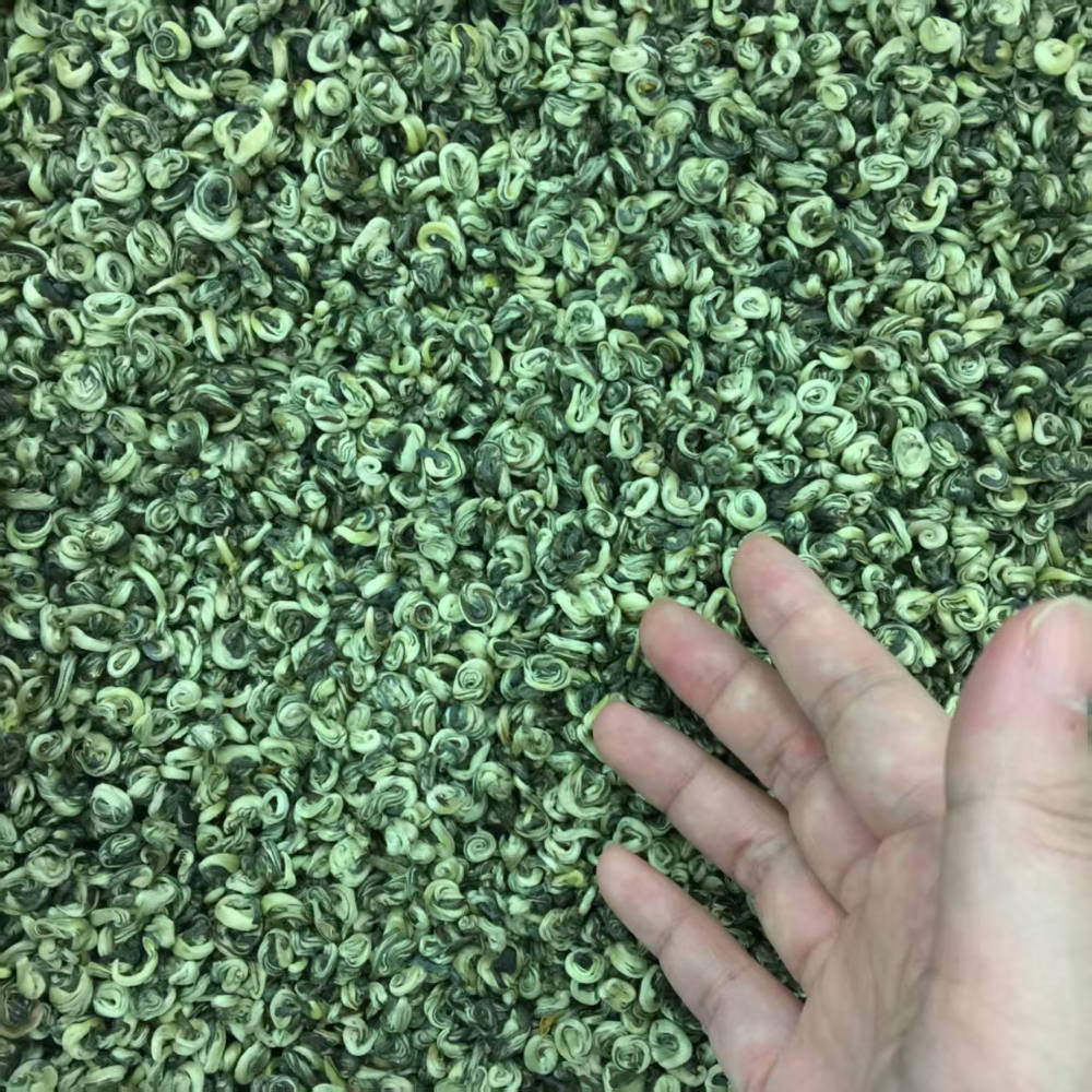 武汉口粮茶哪里靠谱？从源头到茶杯的选茶指南