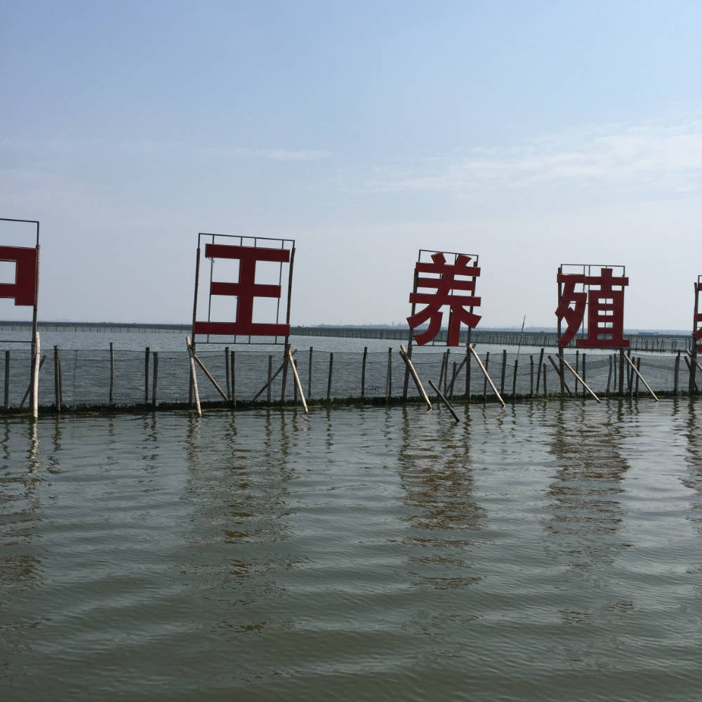 微信图片_20260731110257_147_376.jpg