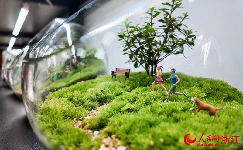 丽水莲都：毛茸茸的小苔藓绿油油的共富路