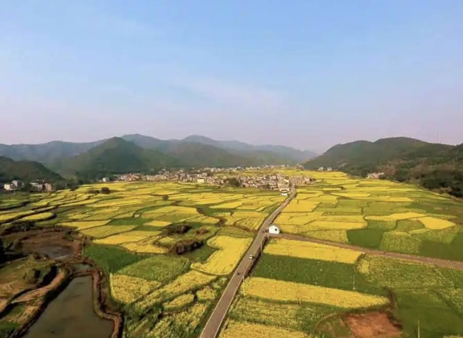 文章配图-1