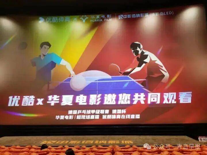 樊振东 vs 林高远