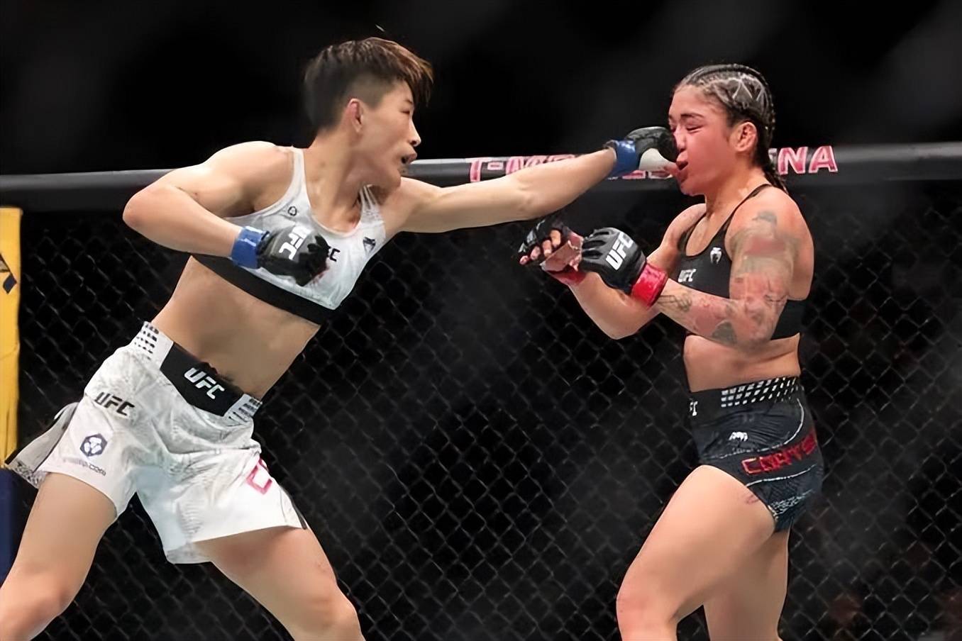 ufc比赛视频下载