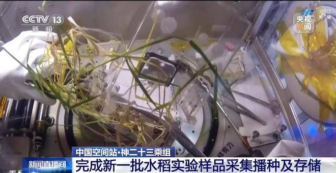 神二十三乘组在轨工作进展顺利