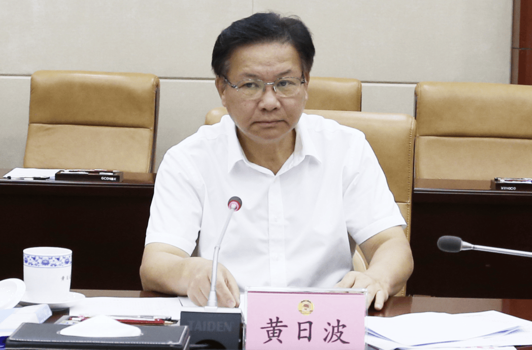 广西政协原副主席黄日波被查