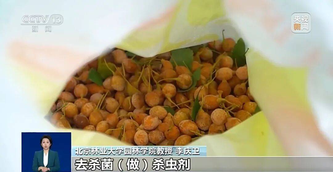 真相:冲上热搜!《知否》里银杏果有毒不是瞎编的,加热了再吃也可能中毒,千万别超这个量→(图6) 真相:冲上热搜!《知否》里银杏果有毒不是瞎编的,加热了再吃也可能中毒,千万别超这个量→(图6)