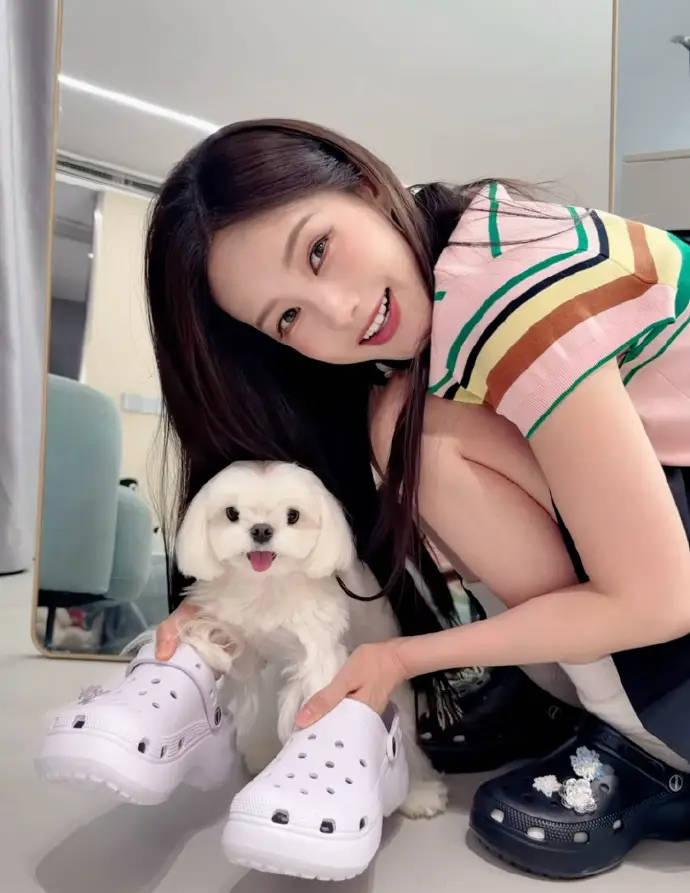 李一桐身穿彩色T恤配玄色短裙 怀抱小狗甜好意思可儿